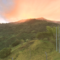Sunset from the terrace