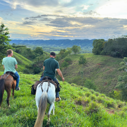 Explore the surroundings on horseback