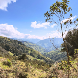 Een van de prachtige vergezichten