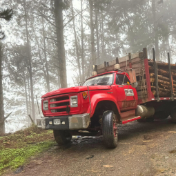 De mooiste auto's kom je onderweg tegen