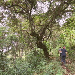 A walk through the surrounding countryside